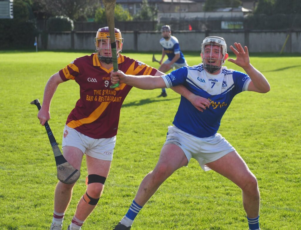 Adult Hurling Leagues Announced