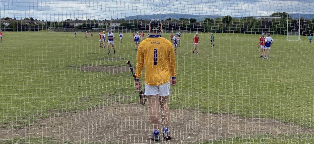 Reaping the Rewards on the Hurling Field