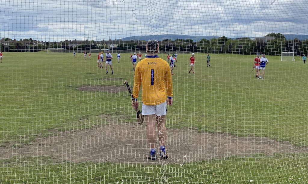 Reaping the Rewards on the Hurling Field