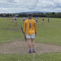 Reaping the Rewards on the Hurling Field