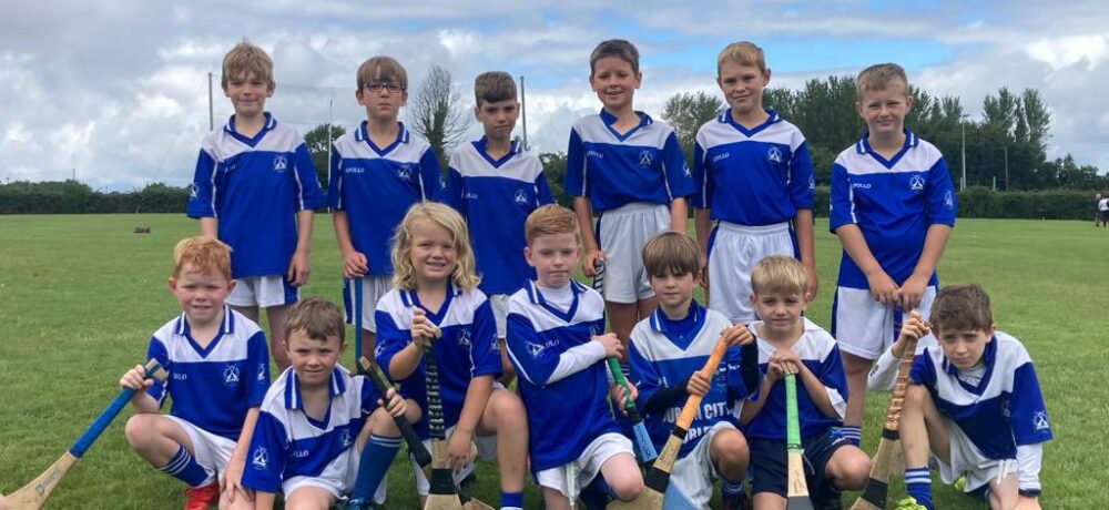 Go Games Hurling Fixtures 2023