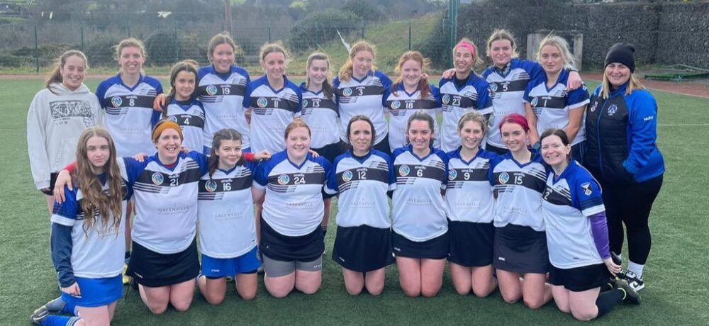 Leinster League Final