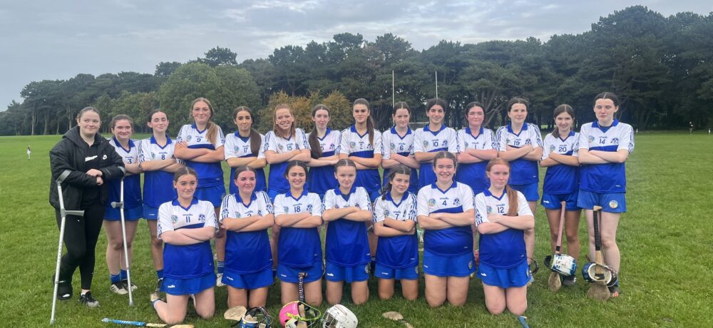 Camogie Super Sunday