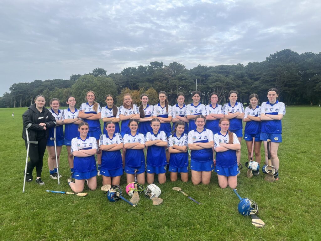 Camogie Super Sunday