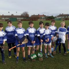 Under 12 Hurlers Season Underway