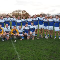 Junior G Hurlers Win League