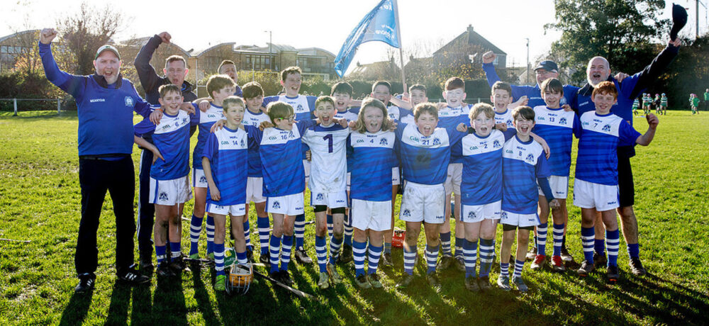 Under 12 Hurlers Win League