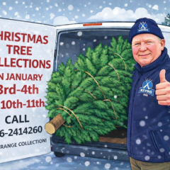 Christmas Tree Collection 2026