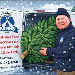 Christmas Tree Collection 2026