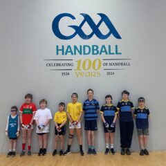 Cumann Na mBunscoil Handball Finals